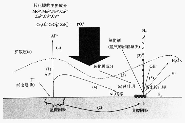 鋁型材化學轉化膜析出模型圖